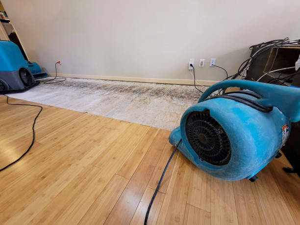Professional Water Damage Repair technician working in Alstead, NH